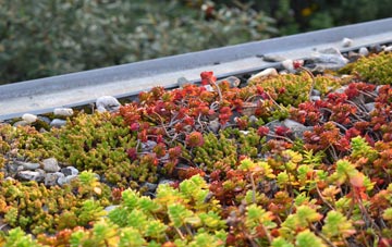 the cost of Stretton On Dunsmore green roof installation