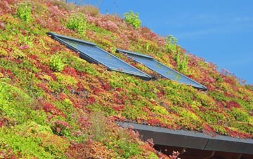 Stretton On Dunsmore living roof systems