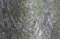 Stretton On Dunsmore fibreglass roof work